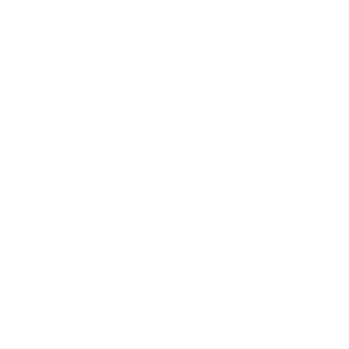 偽・誤情報対策